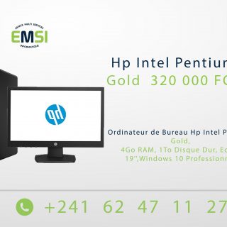 Ordinateur de Bureau Hp Intel Pentium Gold