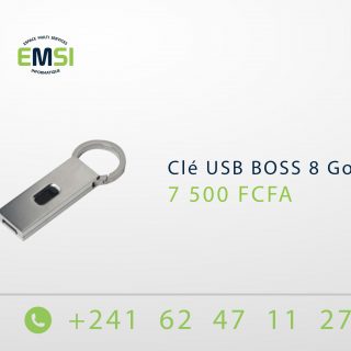 Clé USB BOSS Bleu 8 Go en porte clé