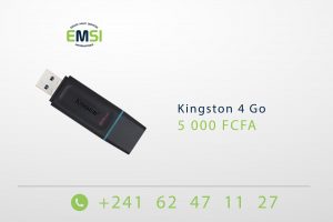 Kingston 4 Go