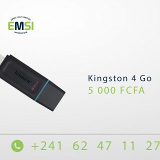 Kingston 4 Go