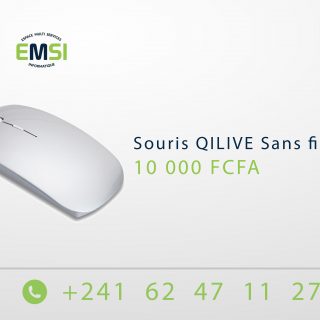 Souris HP Sans fil