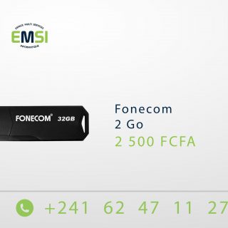 Clé usb Fonecom 2 Go